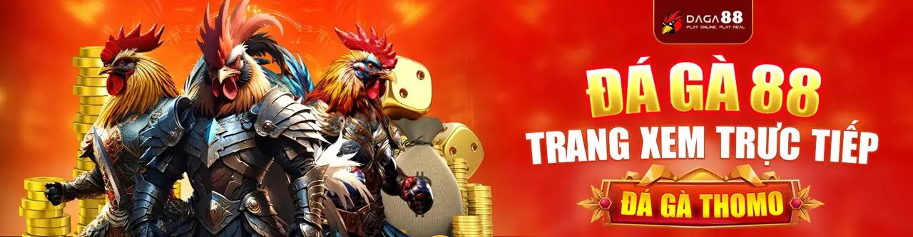 Đá Gà Trực Tuyến Bon68 - Trận Đấu Kịch Tính