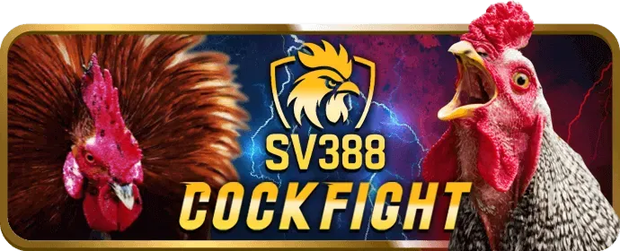 Sự kiện đặc biệt bon68