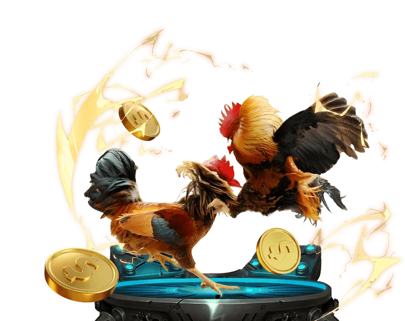 Đặc quyền VIP club bon68